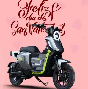 MODELO ZEUS